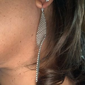 Twisted Mesh Silver Fashion Earrings